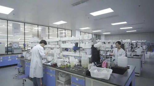 掘金2万亿大美业市场，1688携百万“无名厂”开启数字化跃迁新纪元